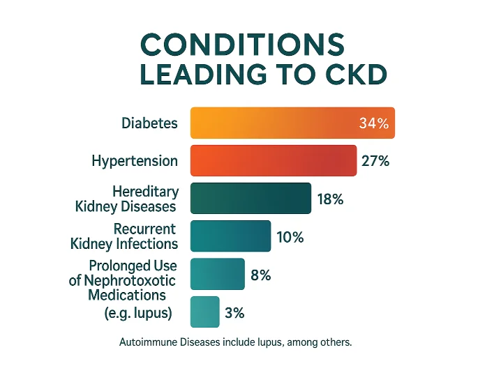 Why are some individuals more likely to develop chronic kidney disease than others?