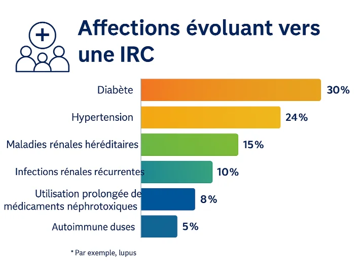 maladies qui evoluent vers l insuffisance re nale 1748442398787