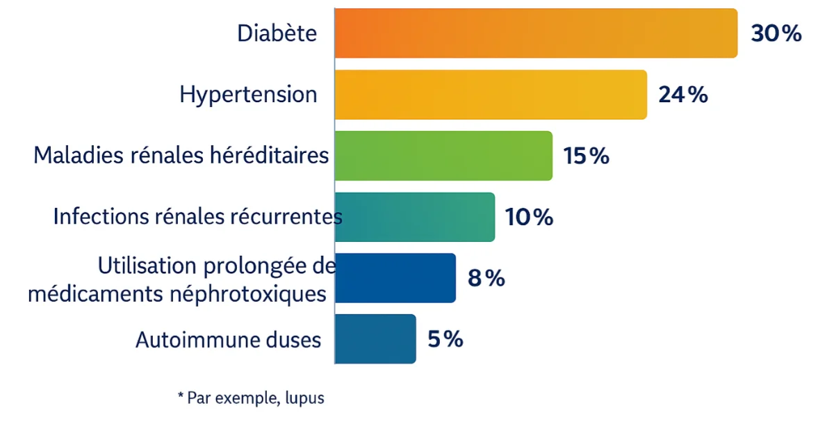  Pourquoi certaines personnes développent une insuffisance rénale chronique ?